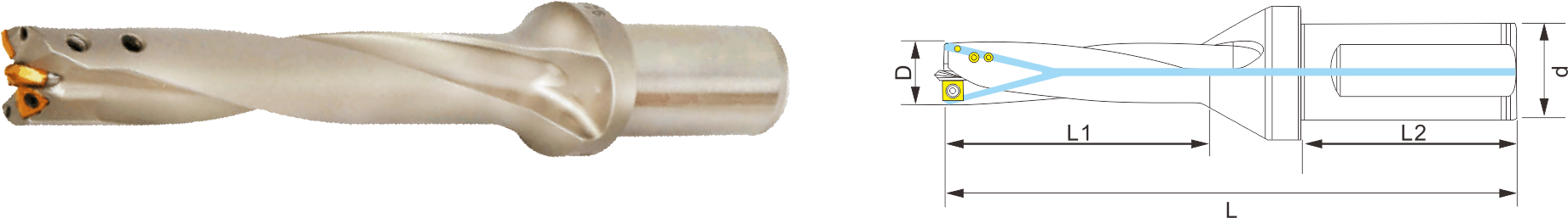 Centering bit -W - blade series -DX5 Centering bit -W - blade series -DX5