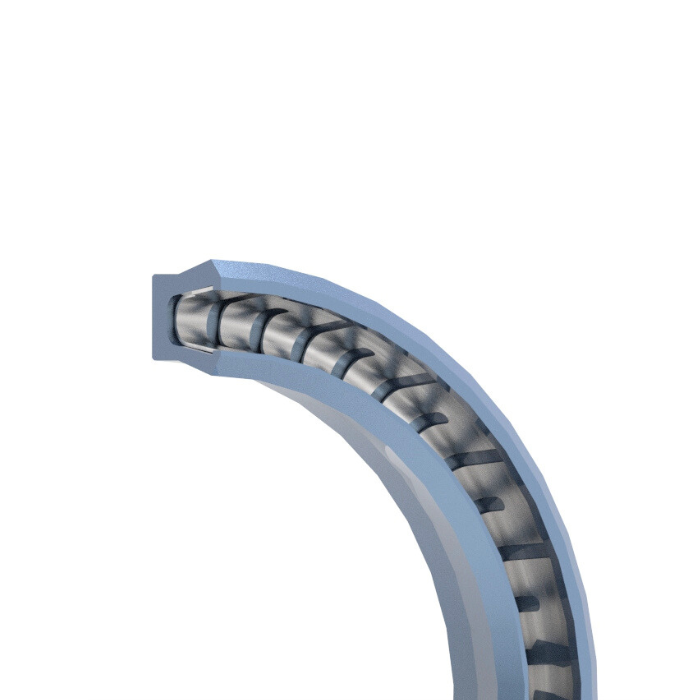 Reciprocating Spring Energized Seal-Type VP