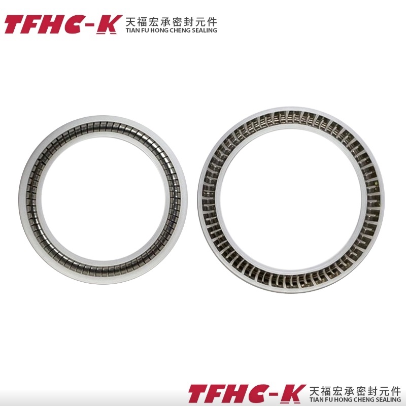 彈簧油封 彈簧油封